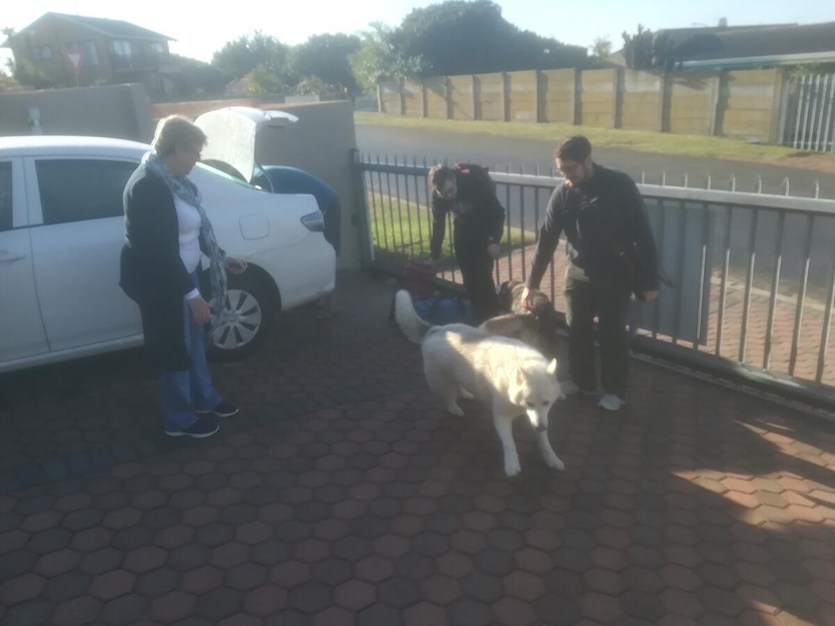 Jojo'S Bnb Mosselbaai Buitenkant foto