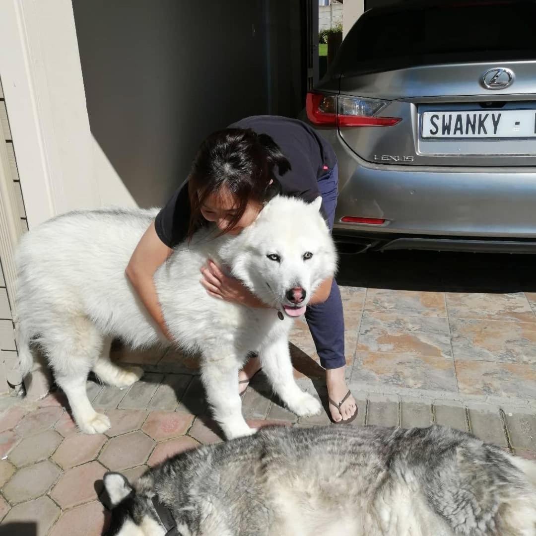Jojo'S Bnb Mosselbaai Buitenkant foto