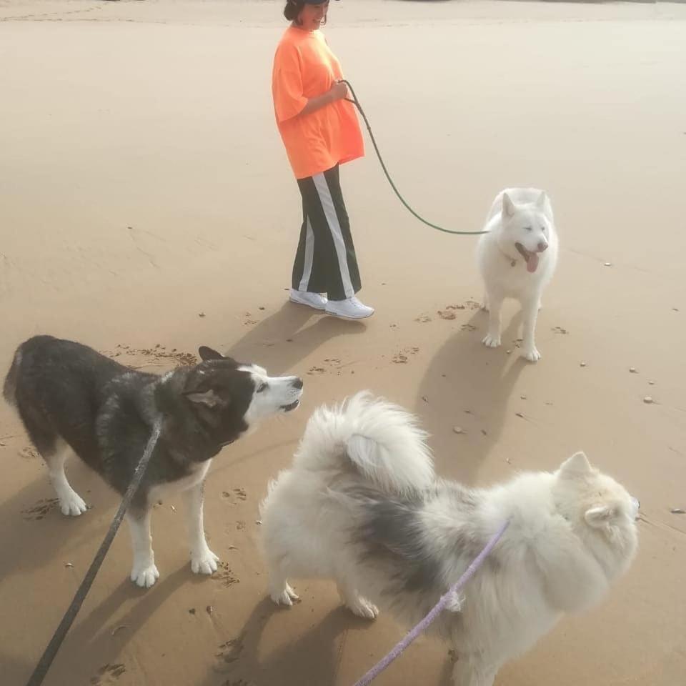 Jojo'S Bnb Mosselbaai Buitenkant foto