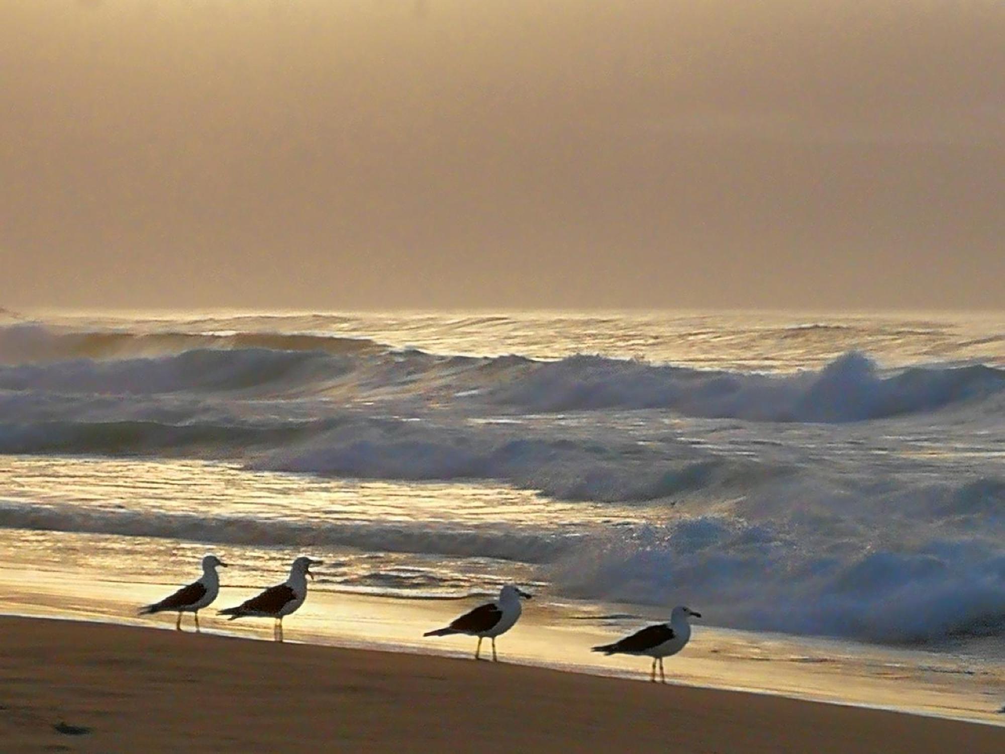 Jojo'S Bnb Mosselbaai Buitenkant foto
